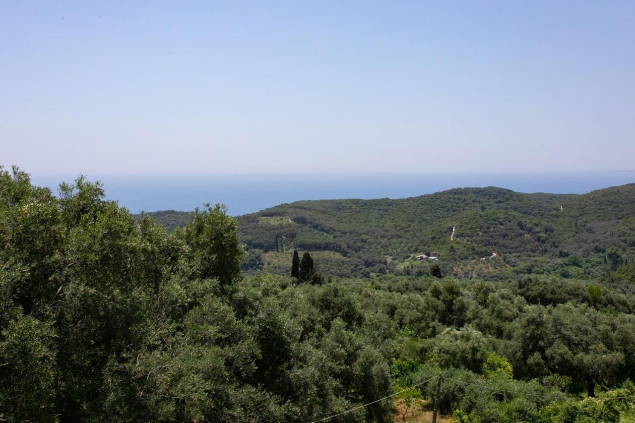 Gaia Apartments I Ανθούσα Εξωτερικό φωτογραφία